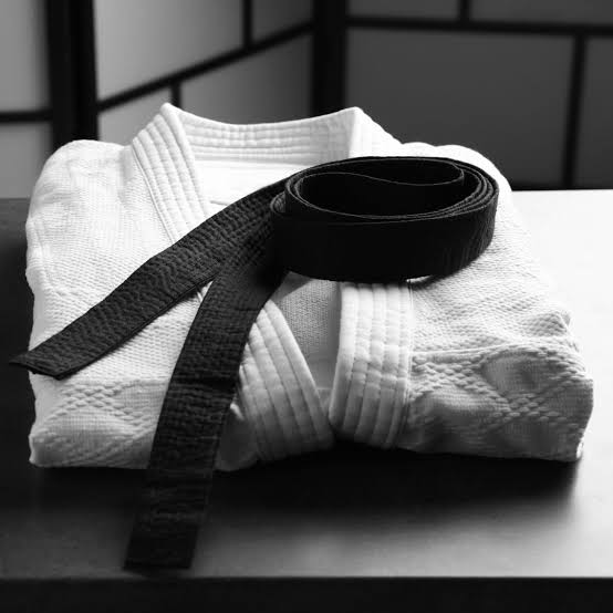 Image Club d'aikidi à porto vecchio