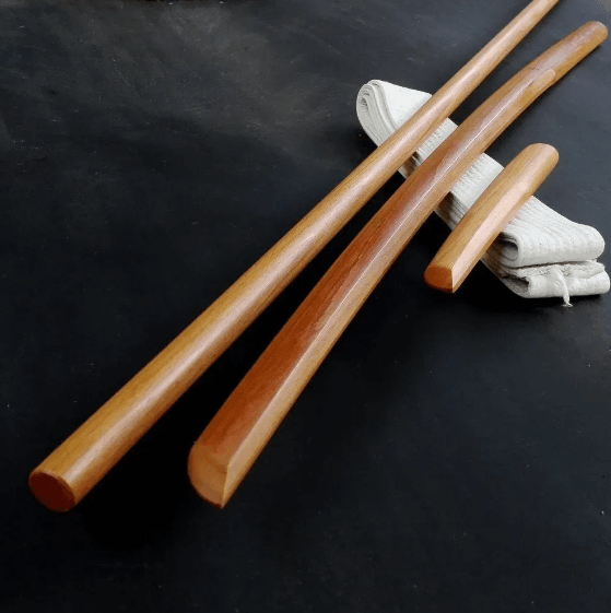 Image aikido portovecchio: la voie de l'harmonie