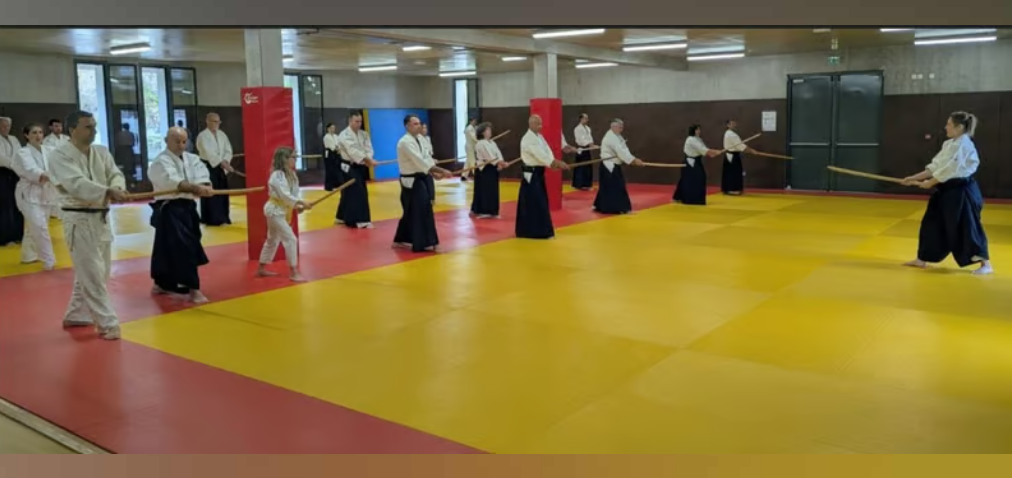 Photo de groupe des adhérents et enseignants du club Aïkikaï Corse du Sud
